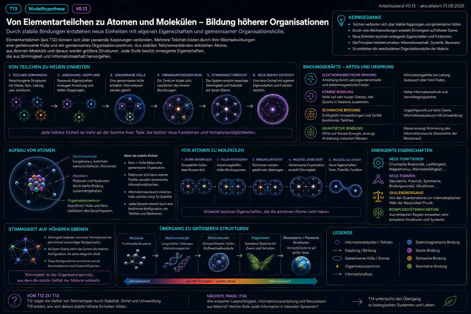 Historischer Illustrationsentwurf T13_skalenuebergang_gemeinsame_aktionshuelle_hoehere_organisation.png
