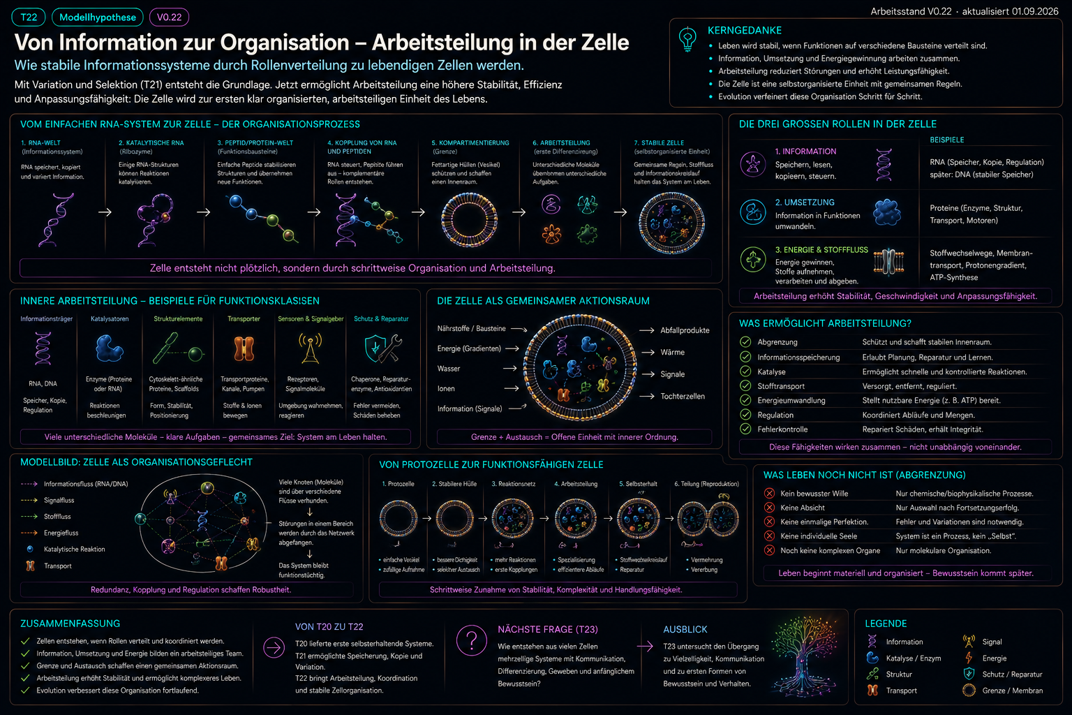 Historischer Illustrationsentwurf T22_arbeitsteilung_zelle.png
