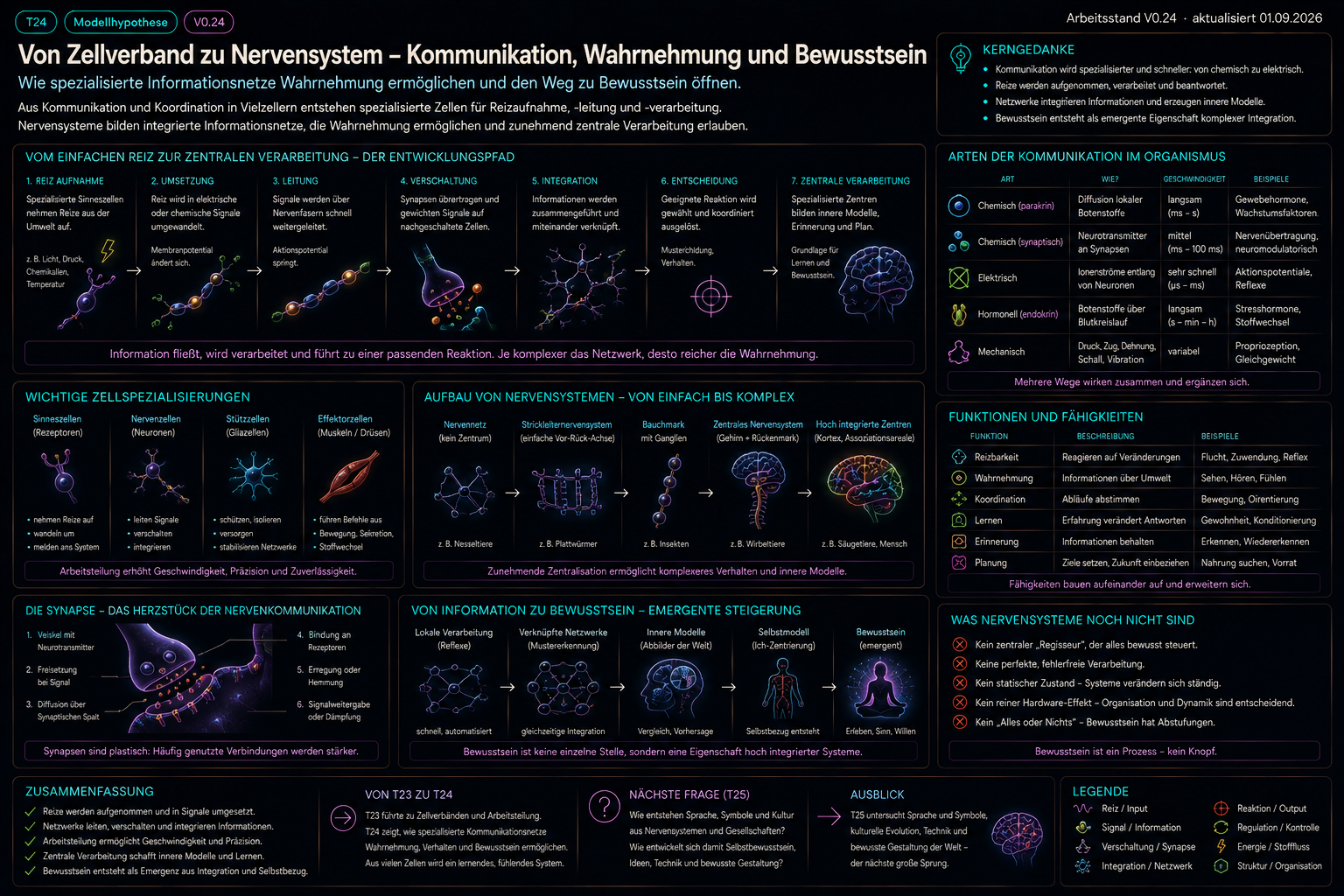 Historischer Illustrationsentwurf T24_nervensystem_wahrnehmung.png