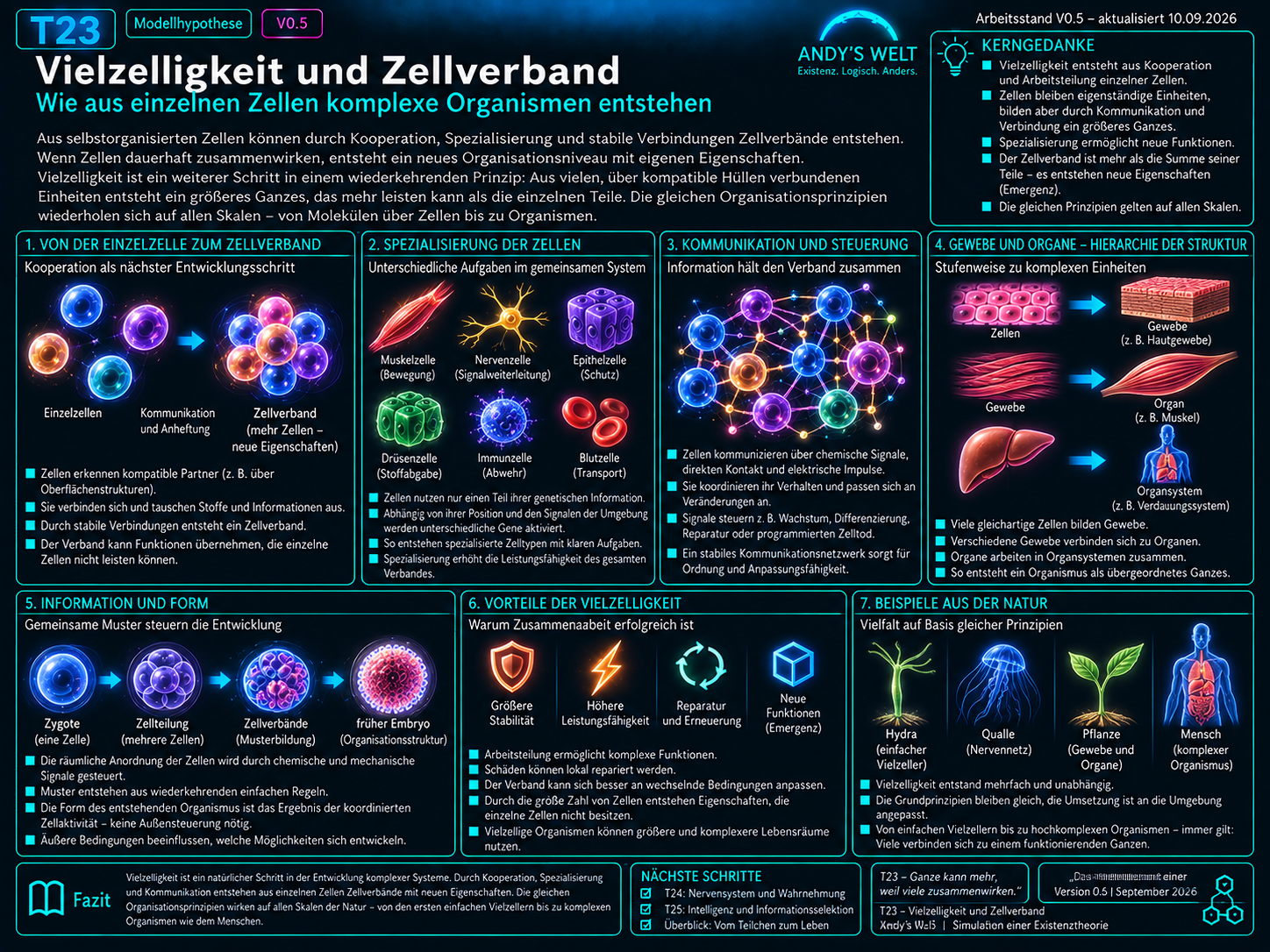 Illustration zu Andy’s Welt T23: Übergang vom Einzeller über Kommunikation, Zelladhäsion, Kooperation, Spezialisierung und Regulation zu Zellverband, Gewebe, Organ und Vielzeller.