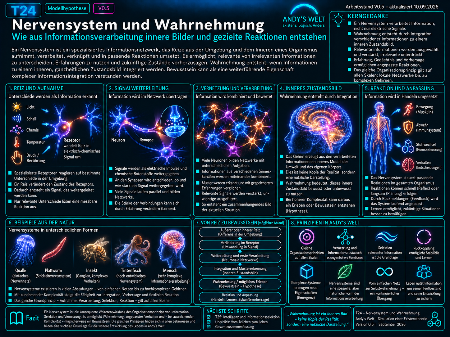 Illustration zu Andy’s Welt T24: vom Reiz über Sinneszellen, Nervenzellen, Synapsen und neuronale Netzwerke zu Wahrnehmung, Lernen, zentraler Verarbeitung und der offenen Frage nach Bewusstsein.